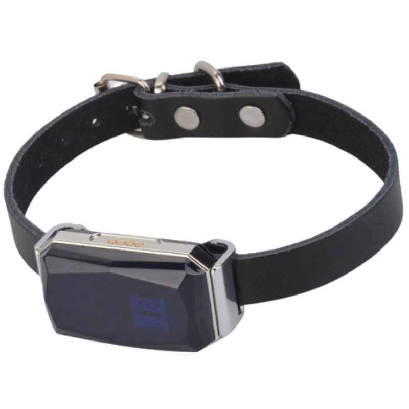 Comfexia Collier GPS Portée Illimitée