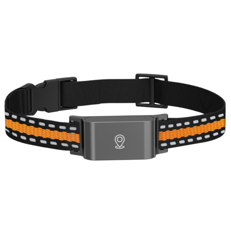 Marcherelle Collier GPS Chat